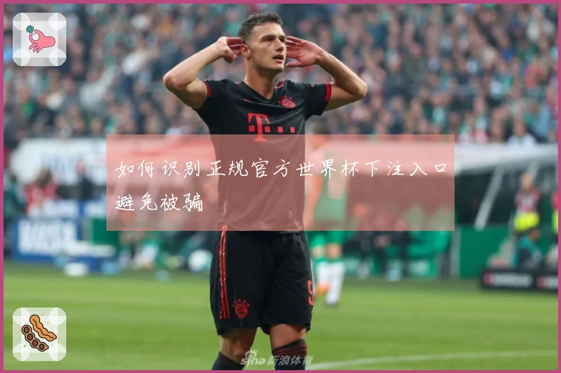 如何识别正规官方世界杯下注入口避免被骗