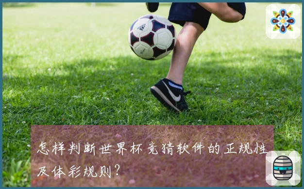 怎样判断世界杯竞猜软件的正规性及体彩规则？