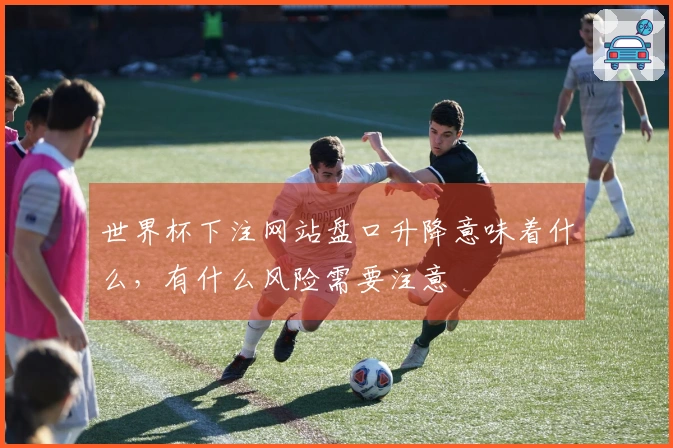 世界杯下注网站盘口升降意味着什么，有什么风险需要注意