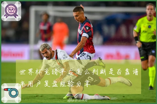 世界杯竞猜平台怎么判断是否靠谱老用户复盘经验分享