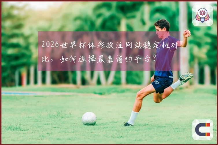 2026世界杯体彩投注网站稳定性对比，如何选择最靠谱的平台？