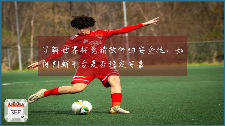 了解世界杯竞猜软件的安全性，如何判断平台是否稳定可靠