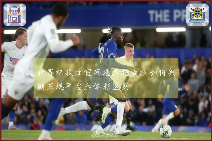 世界杯投注官网选择指南：如何判断正规平台和体彩区别