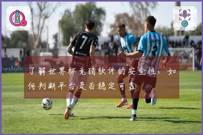 了解世界杯竞猜软件的安全性，如何判断平台是否稳定可靠